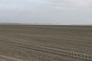 Baie de Somme. Au loin : le Crotoy